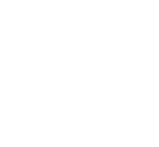 Vistra Consultancies Logo